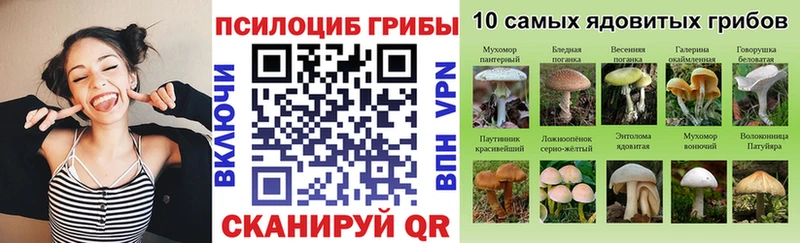 Псилоцибиновые грибы Cubensis  Чёрмоз 