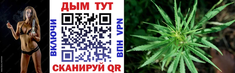 Канабис конопля Чёрмоз